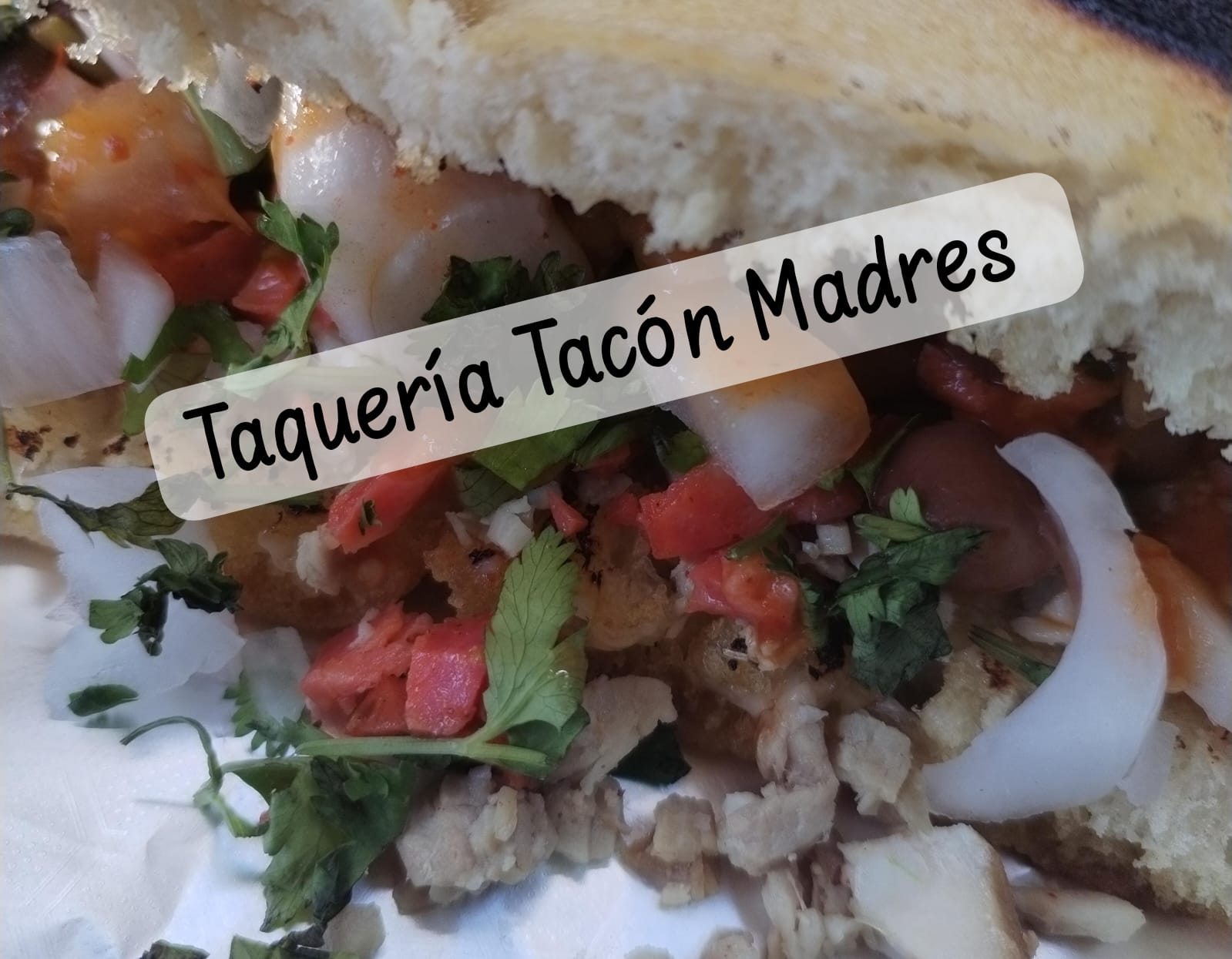 leetx-google-photo-57197-4 leetx-google-photo-57197-4