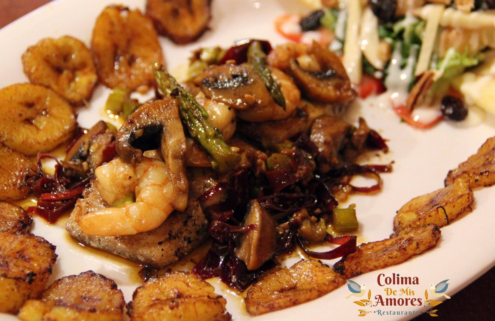 leetx-google-photo-57259-2 leetx-google-photo-57259-2