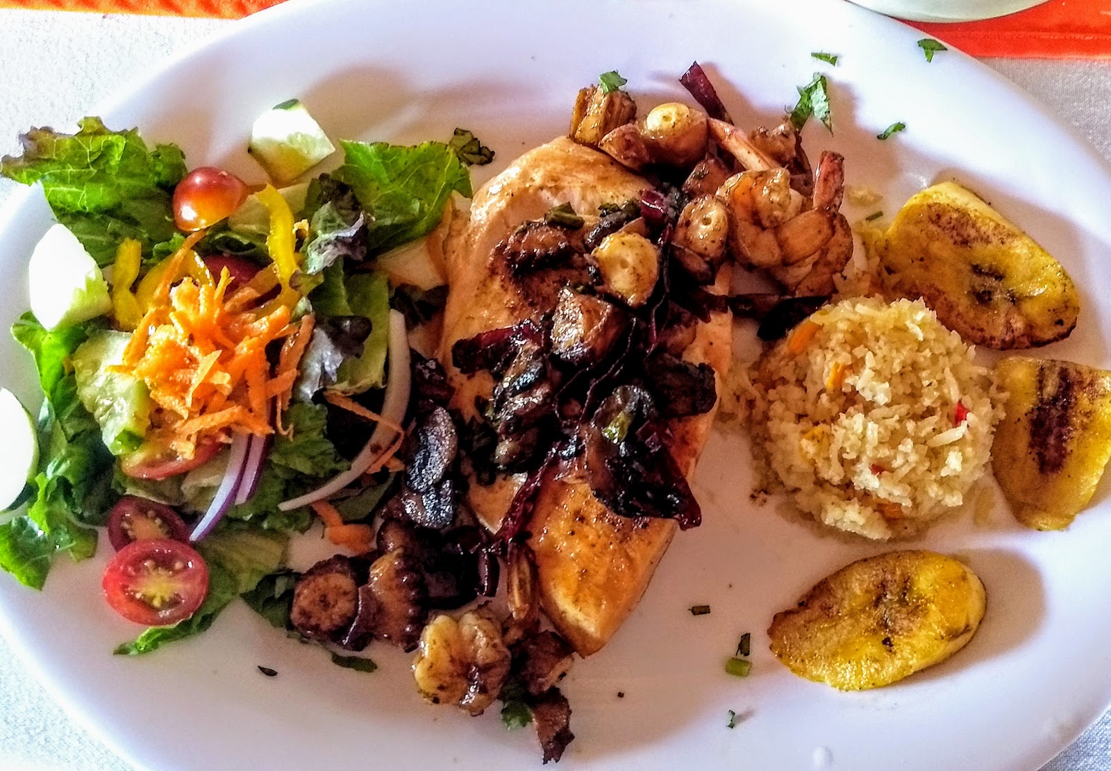 leetx-google-photo-57259-7 leetx-google-photo-57259-7