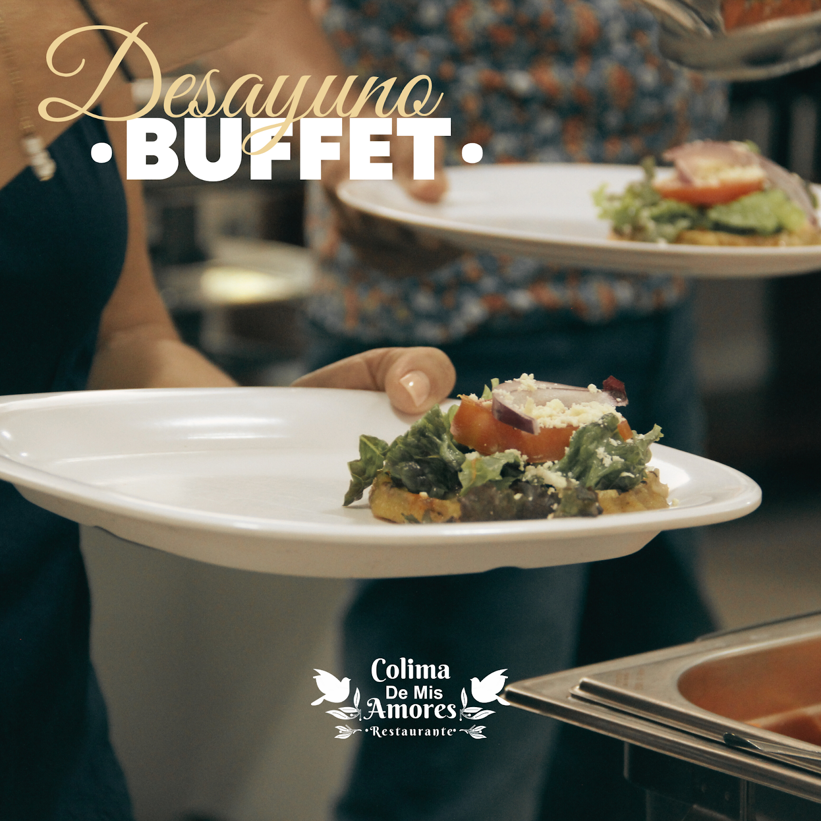 leetx-google-photo-57259-8 leetx-google-photo-57259-8