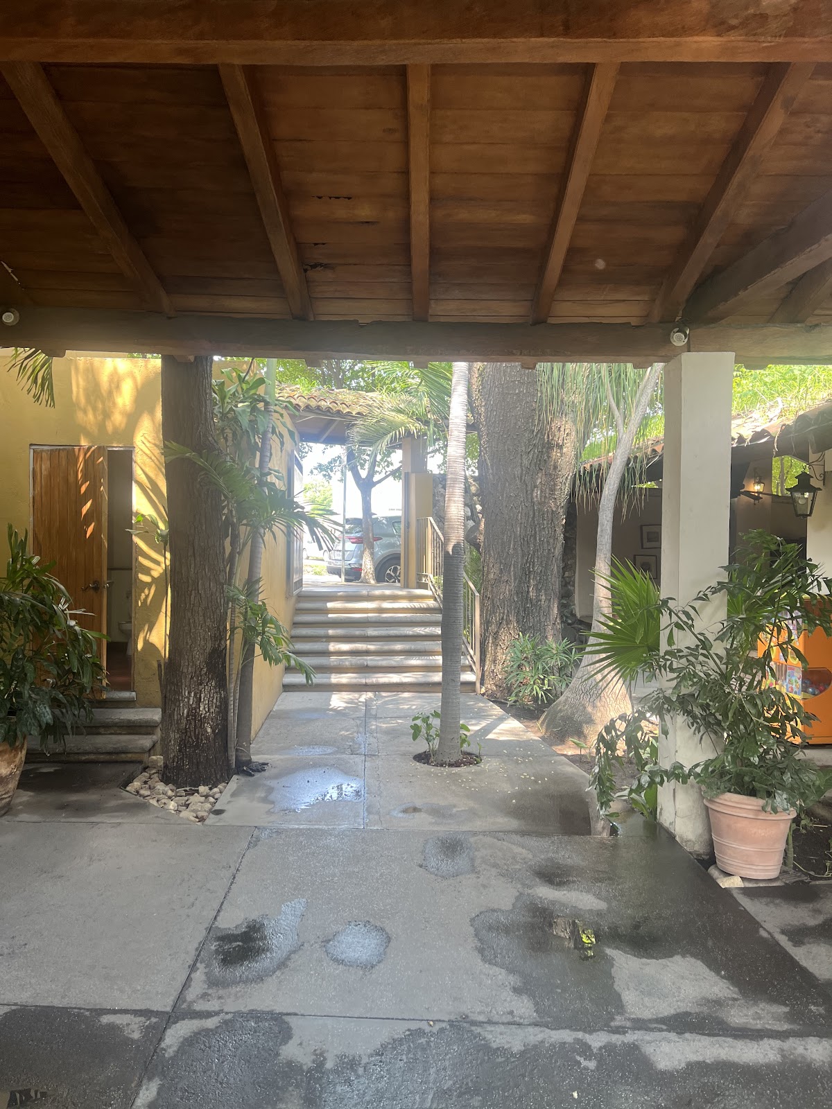 leetx-google-photo-57286-5 leetx-google-photo-57286-5