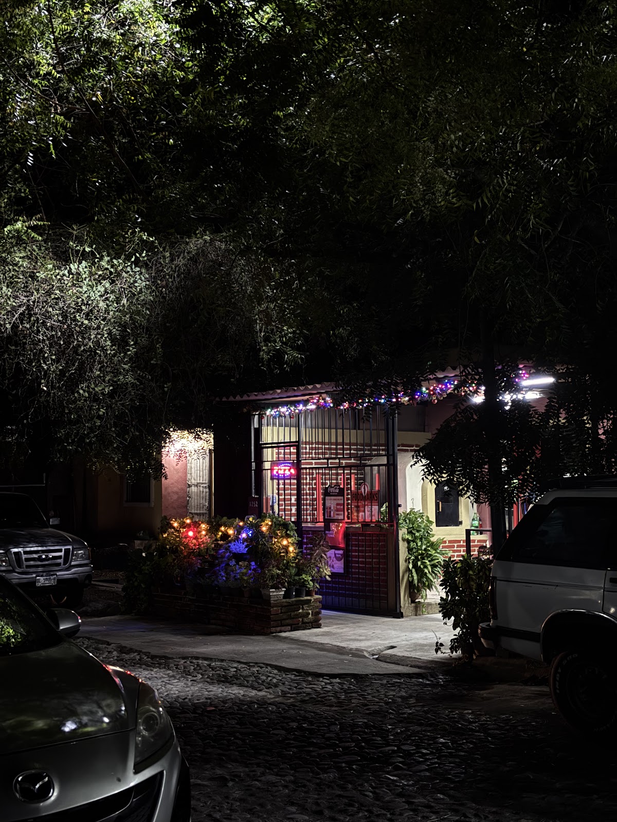 leetx-google-photo-57344-7 leetx-google-photo-57344-7