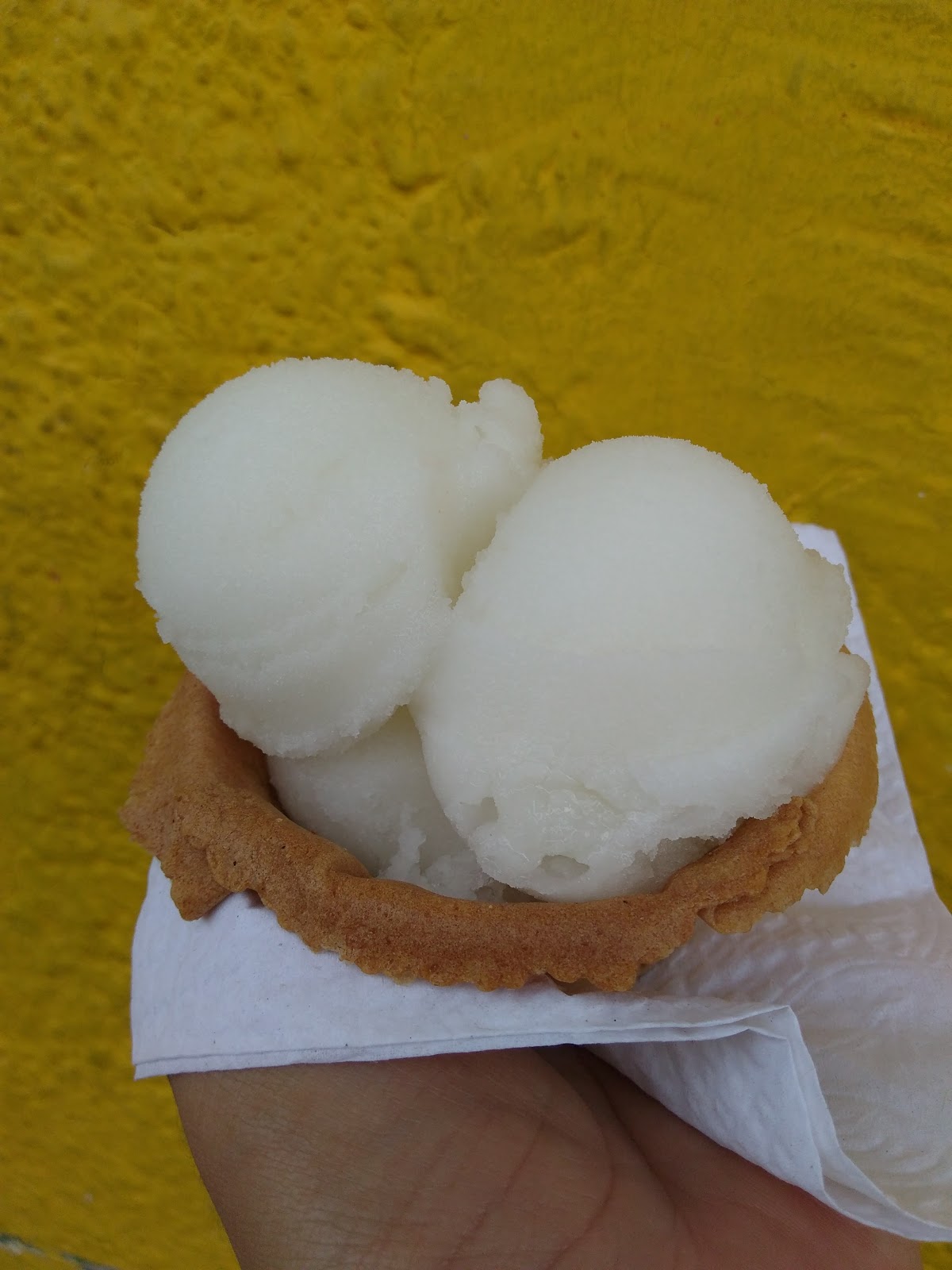 leetx-google-photo-57692-2 leetx-google-photo-57692-2