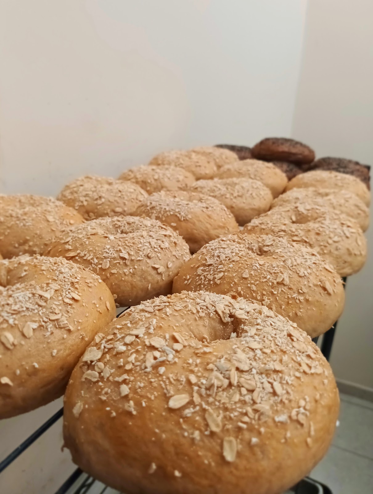 leetx-google-photo-57772-5 leetx-google-photo-57772-5