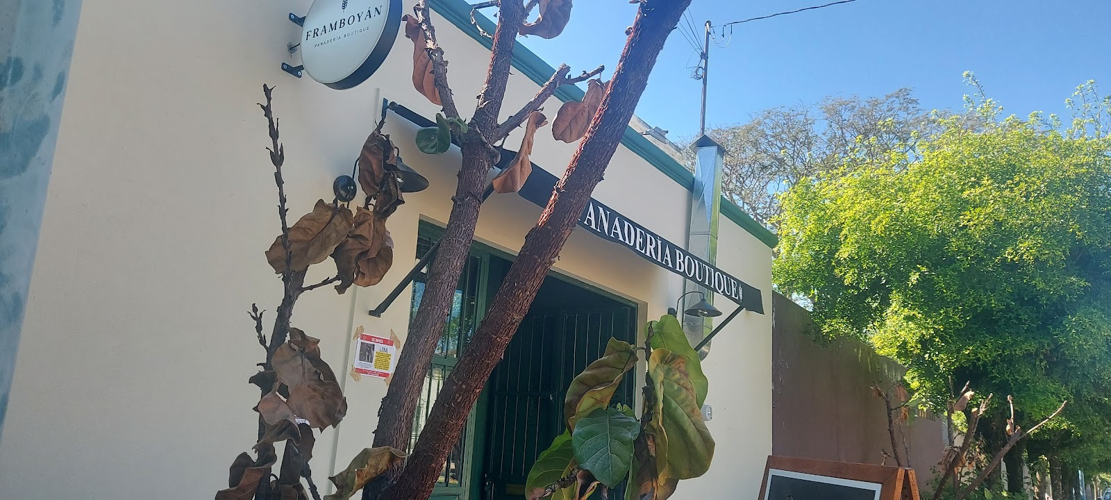 leetx-google-photo-57818-7 leetx-google-photo-57818-7