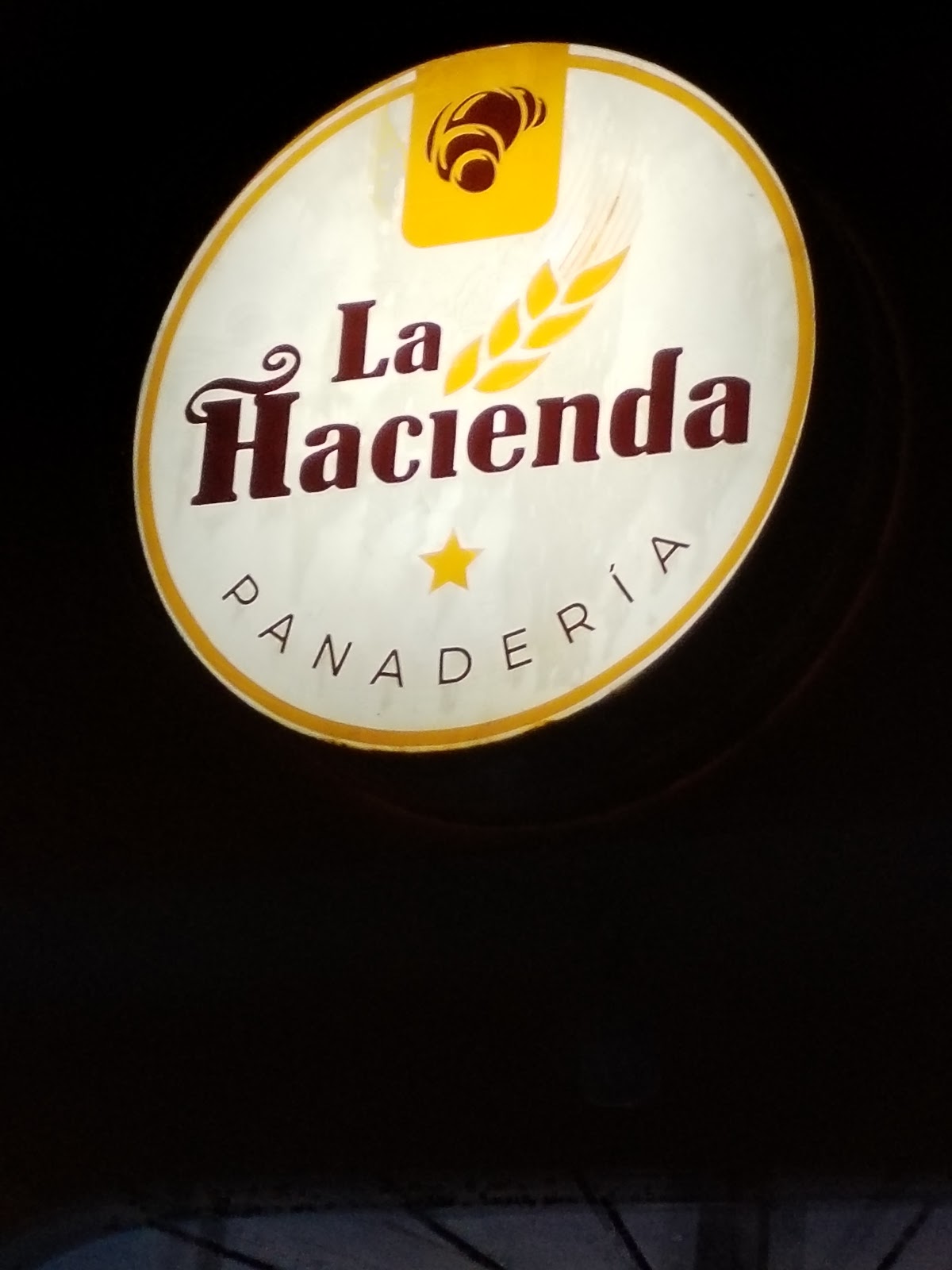 leetx-google-photo-57861-3 leetx-google-photo-57861-3