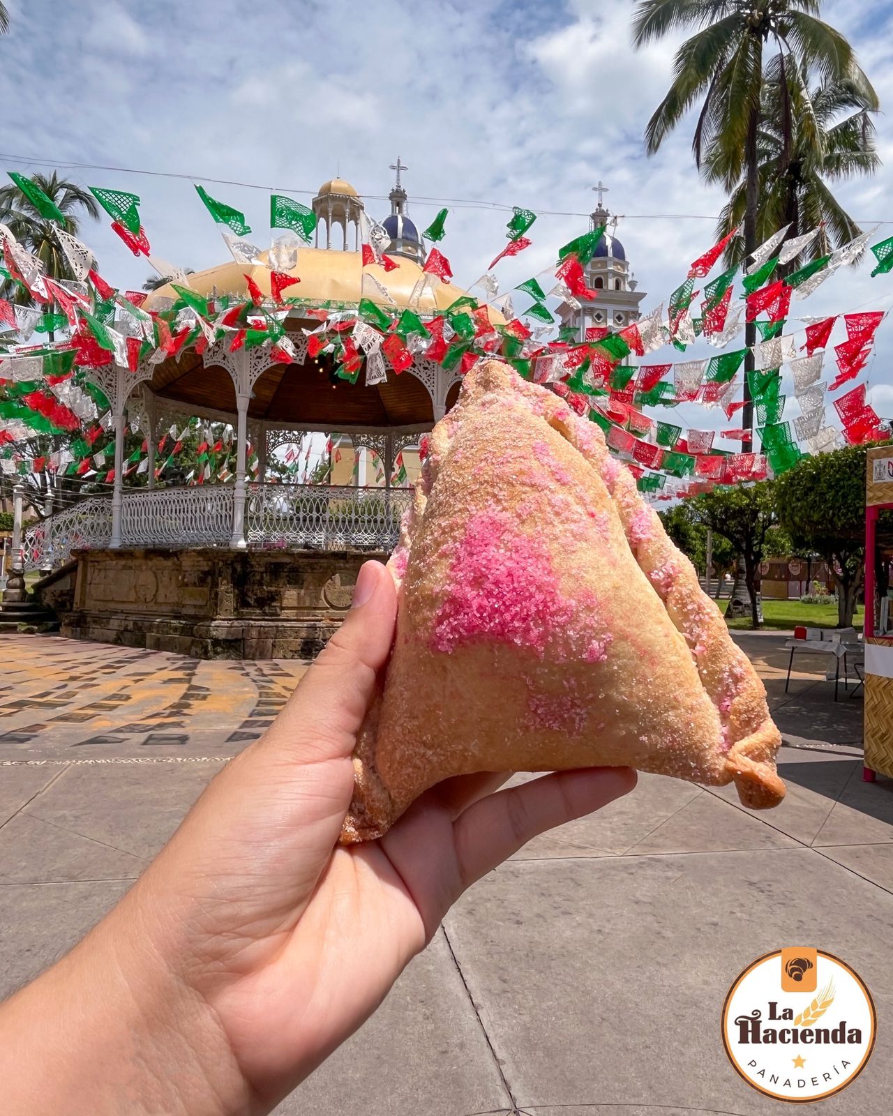 leetx-google-photo-57861-4 leetx-google-photo-57861-4