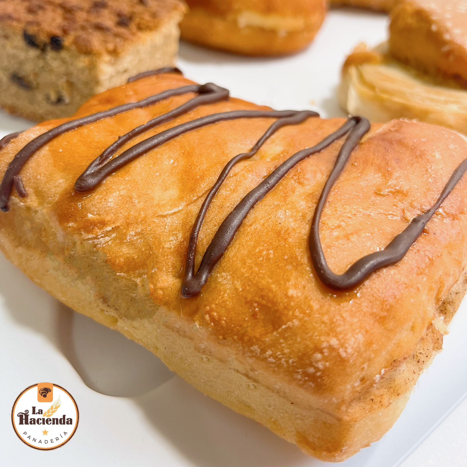 leetx-google-photo-57861-5 leetx-google-photo-57861-5