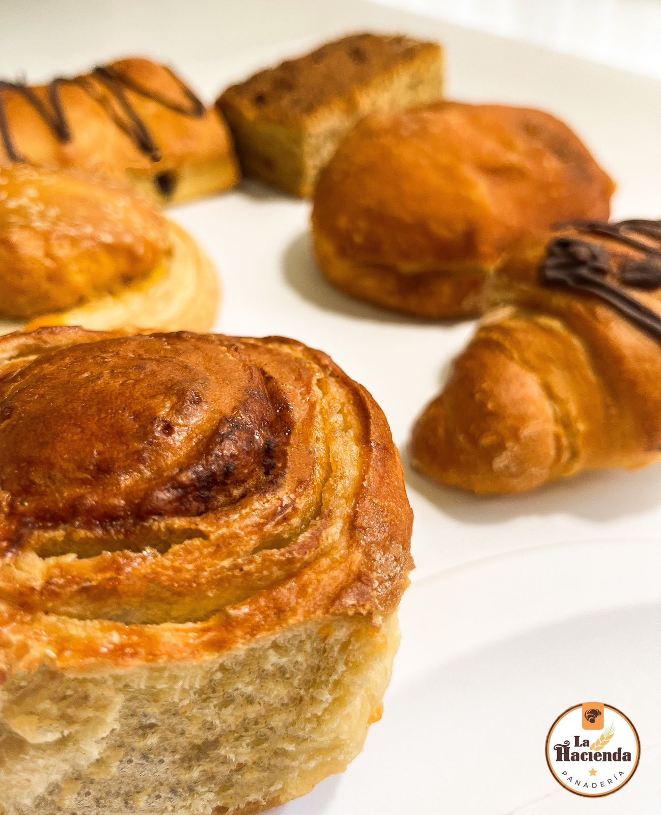 leetx-google-photo-57861-6 leetx-google-photo-57861-6