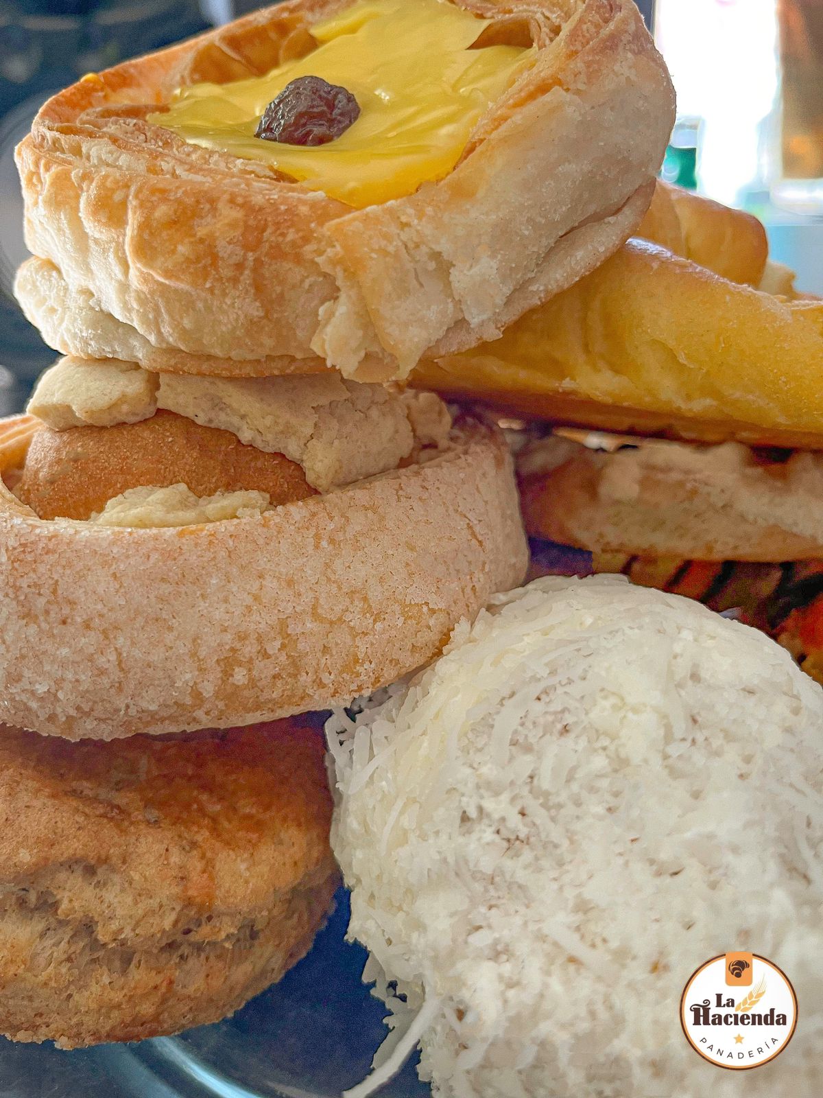 leetx-google-photo-57861-8 leetx-google-photo-57861-8