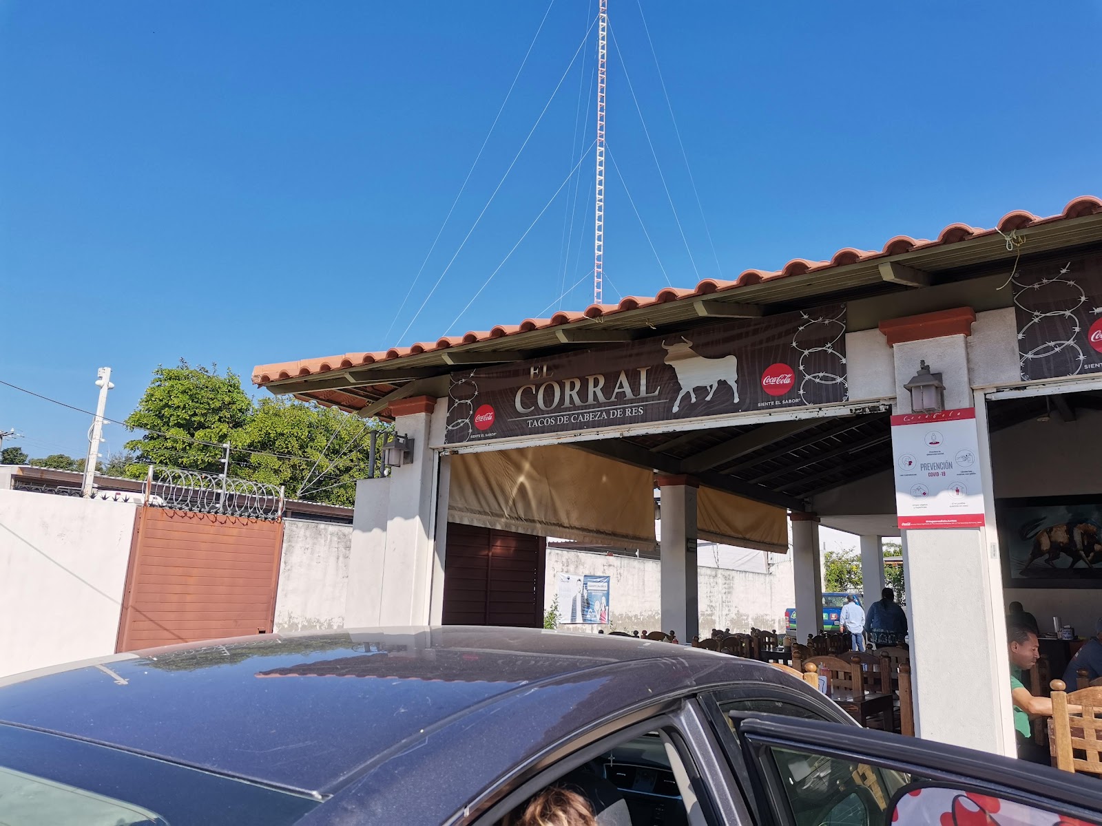 leetx-google-photo-57909-3 leetx-google-photo-57909-3