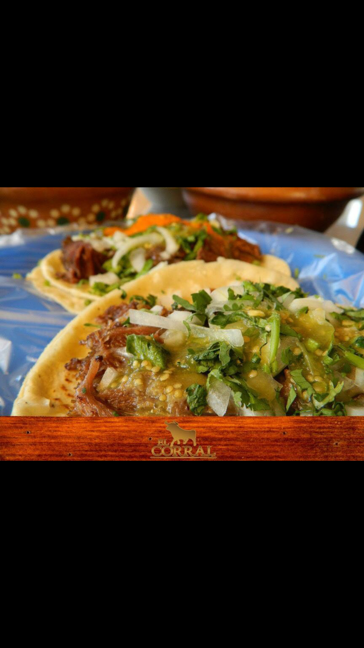 leetx-google-photo-57909-8 leetx-google-photo-57909-8