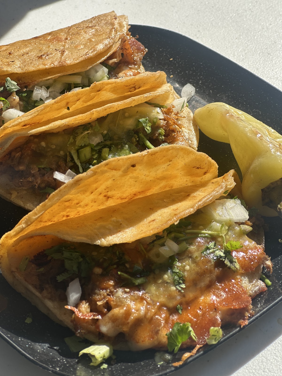 leetx-google-photo-57918-2 leetx-google-photo-57918-2