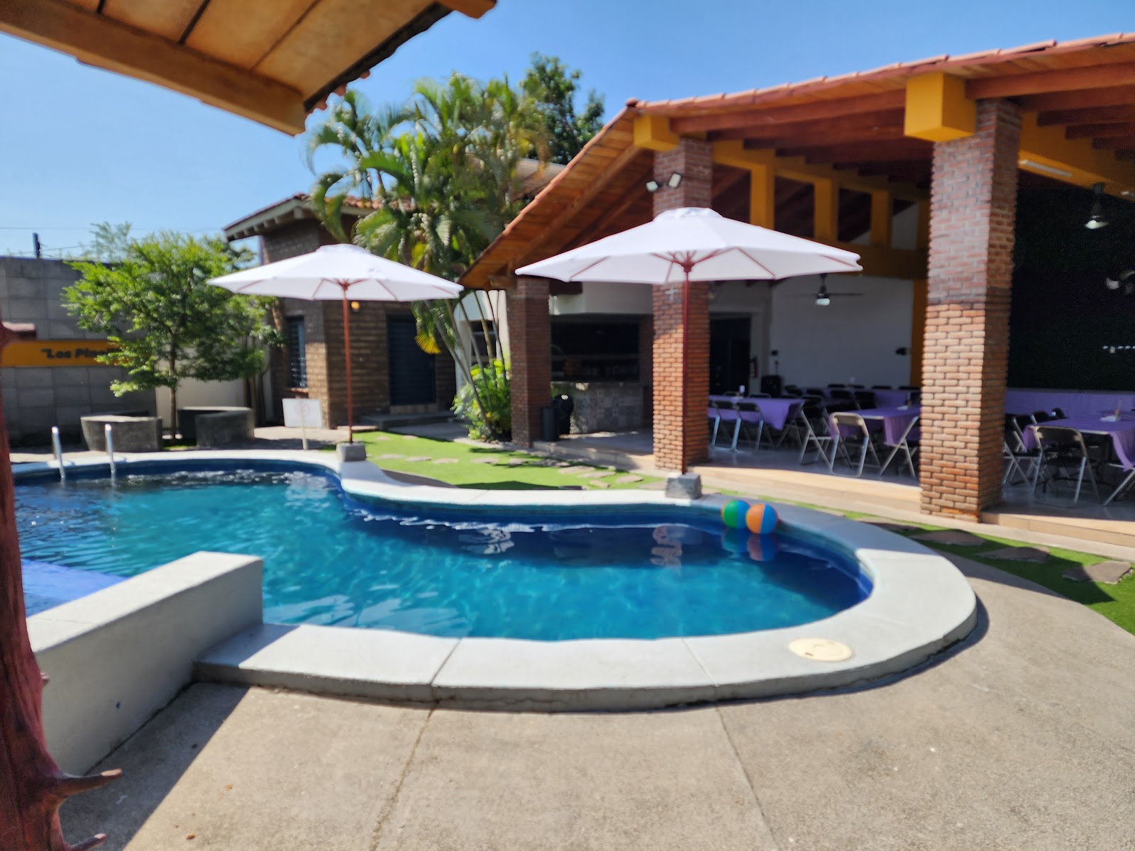 leetx-google-photo-57968-3 leetx-google-photo-57968-3