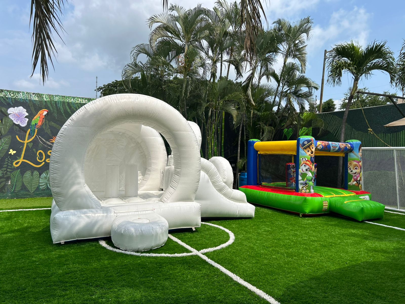 leetx-google-photo-57968-4 leetx-google-photo-57968-4