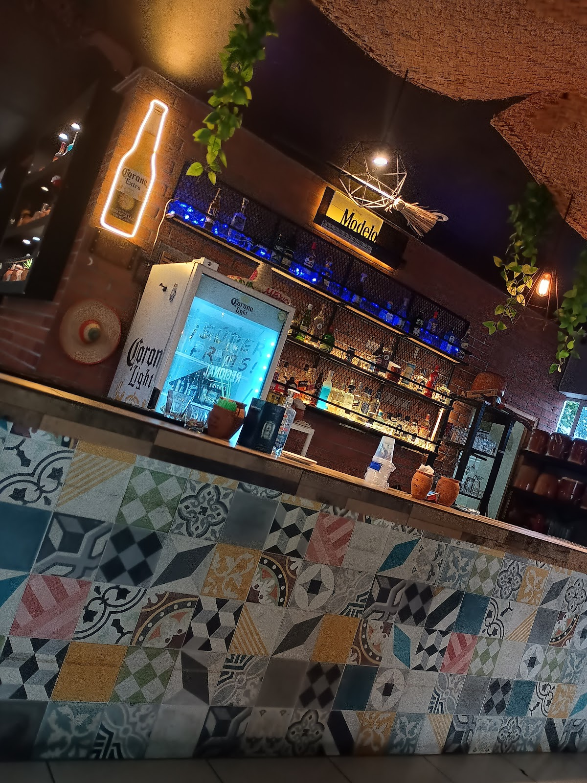 leetx-google-photo-58054-2 leetx-google-photo-58054-2