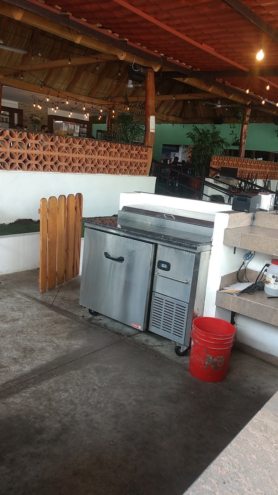 leetx-google-photo-58099-4 leetx-google-photo-58099-4