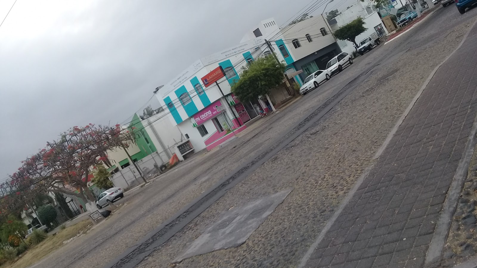 leetx-google-photo-58274-2 leetx-google-photo-58274-2