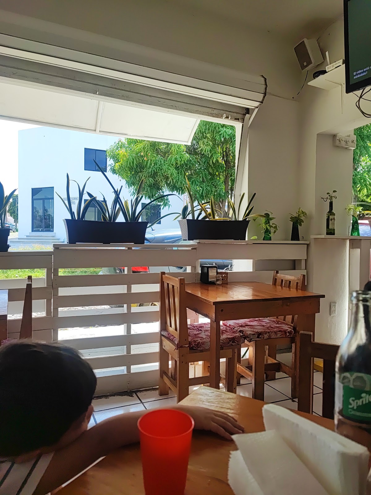 leetx-google-photo-58278-4 leetx-google-photo-58278-4