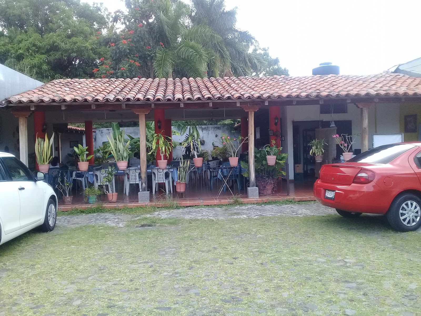 leetx-google-photo-58346-7 leetx-google-photo-58346-7