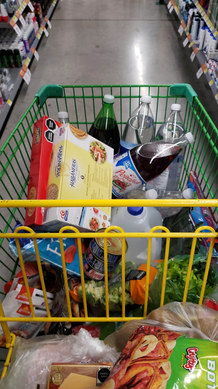 leetx-google-photo-59140-7 leetx-google-photo-59140-7