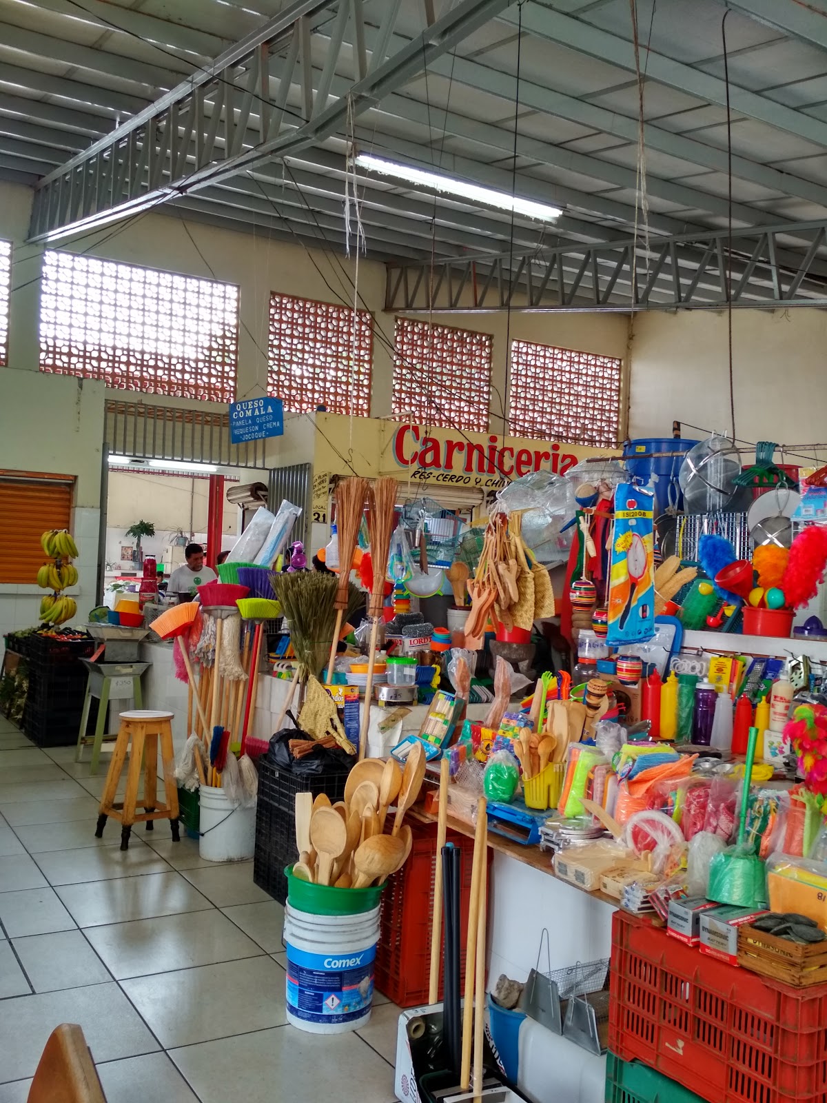 leetx-google-photo-59174-4 leetx-google-photo-59174-4