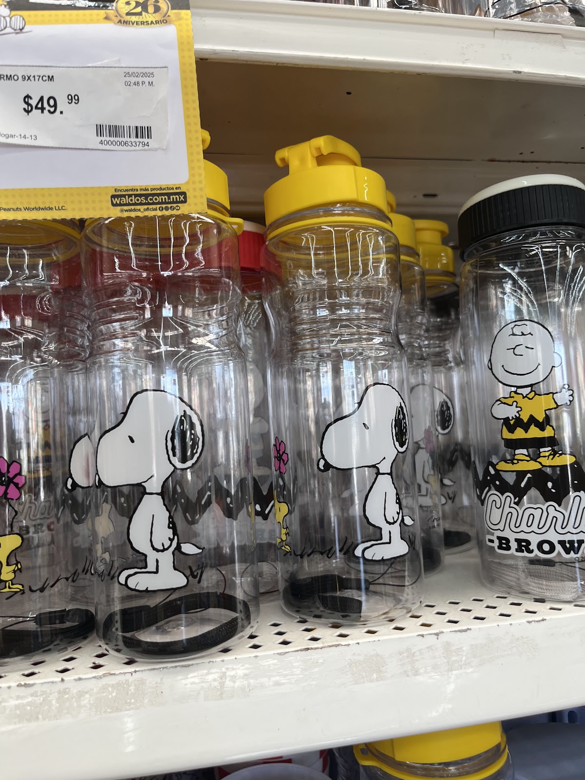 leetx-google-photo-59393-3 leetx-google-photo-59393-3