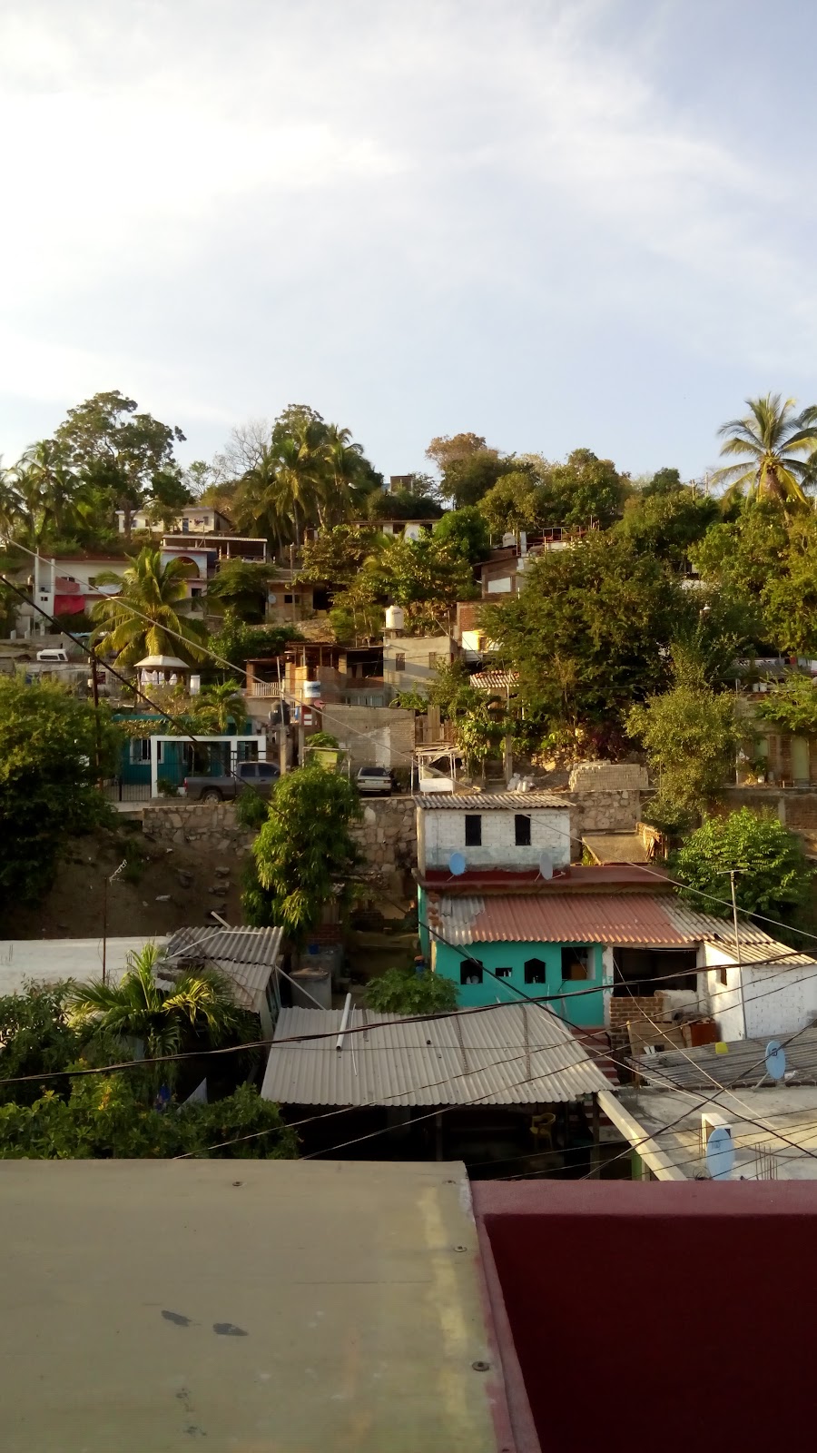 leetx-google-photo-59402-2-1 leetx-google-photo-59402-2-1