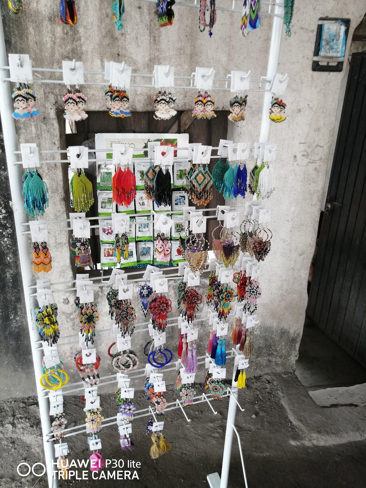 leetx-google-photo-59402-5-1 leetx-google-photo-59402-5-1