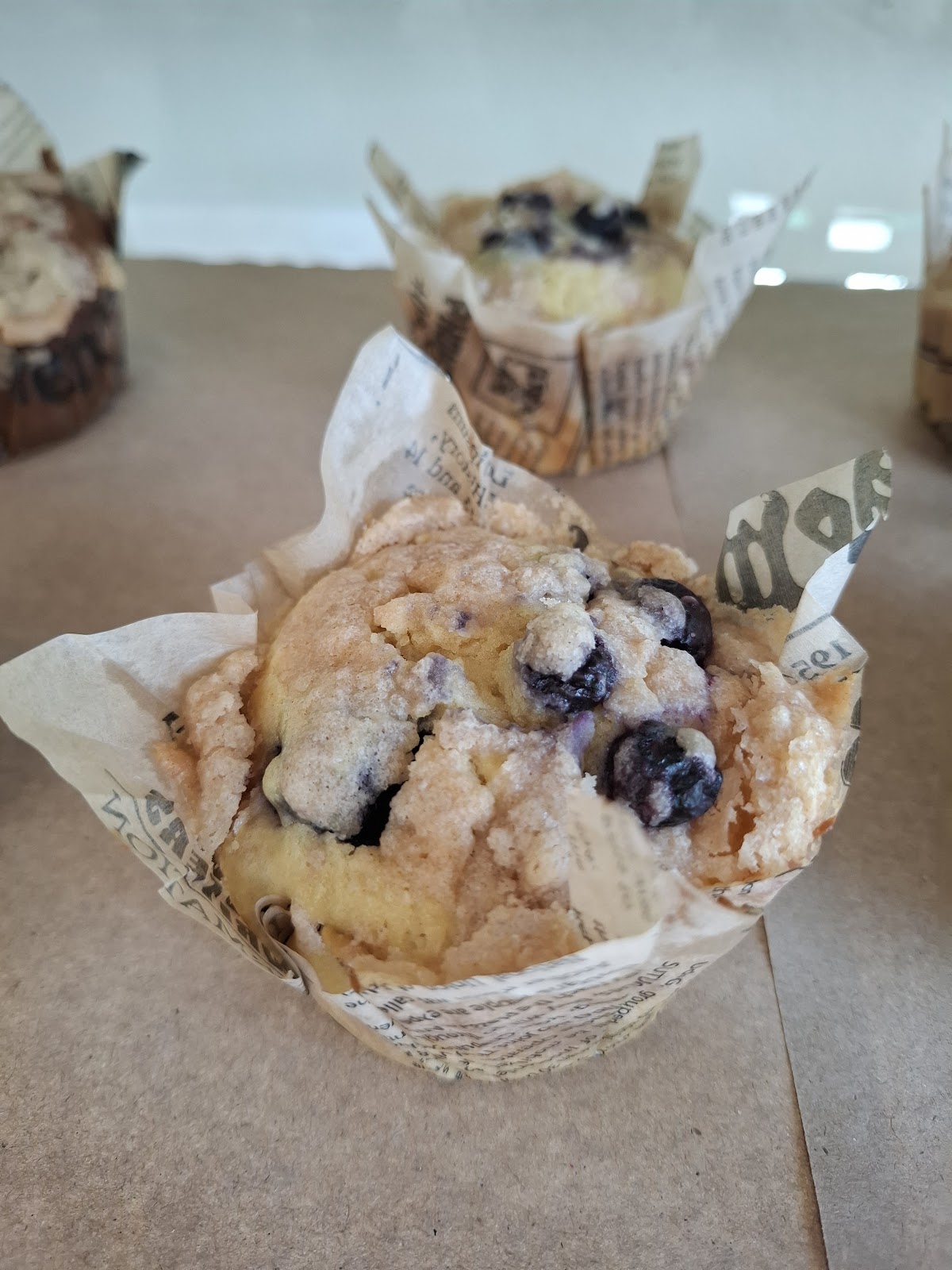 leetx-google-photo-59700-2 leetx-google-photo-59700-2