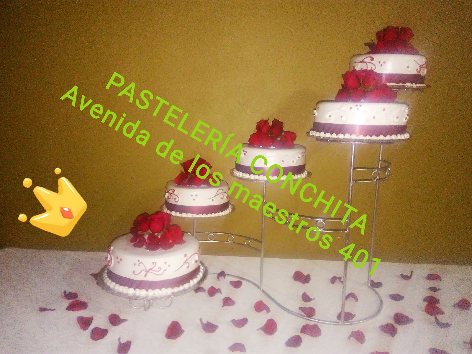 leetx-google-photo-59991-6 leetx-google-photo-59991-6