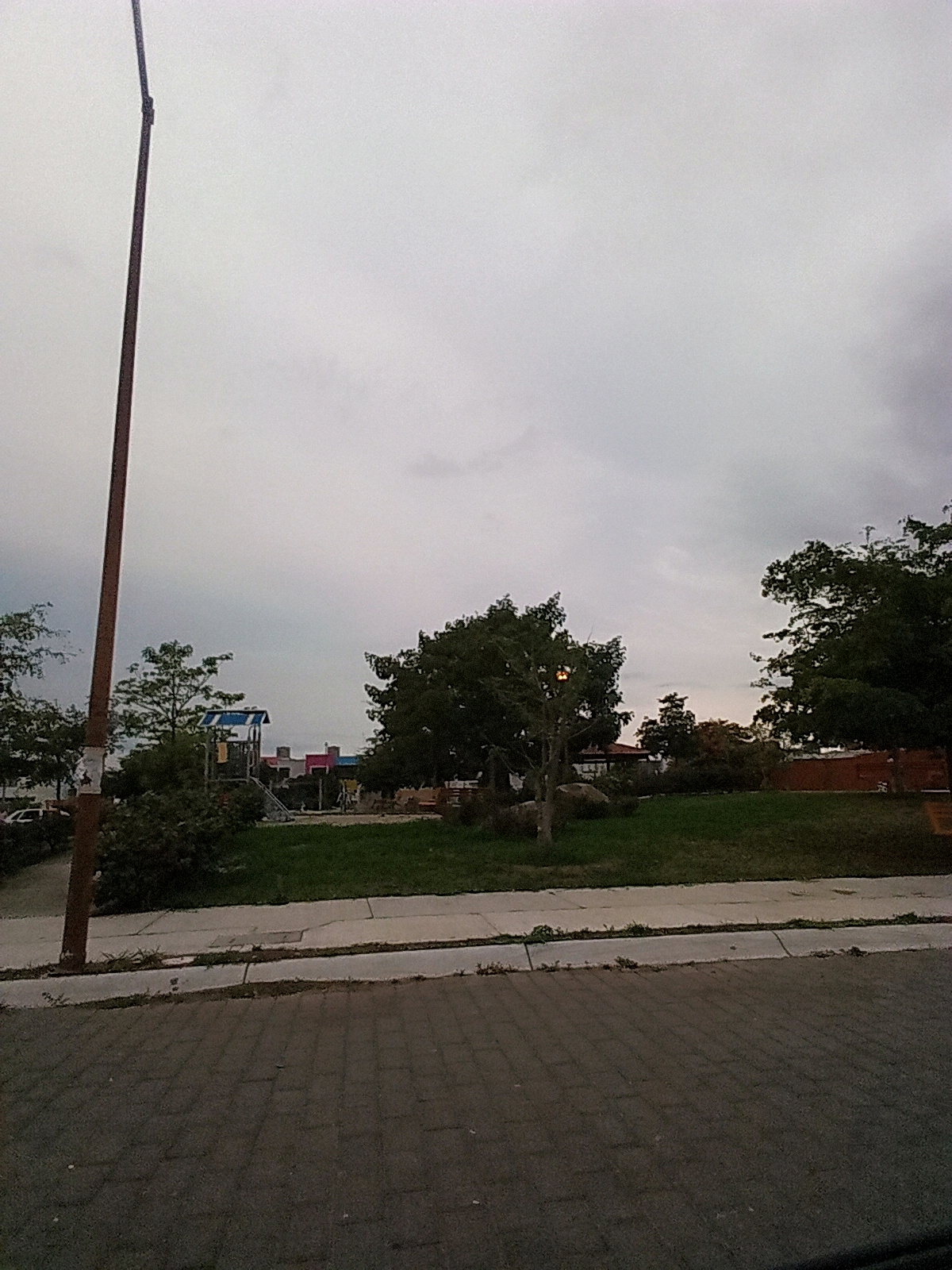 leetx-google-photo-60244-2 leetx-google-photo-60244-2