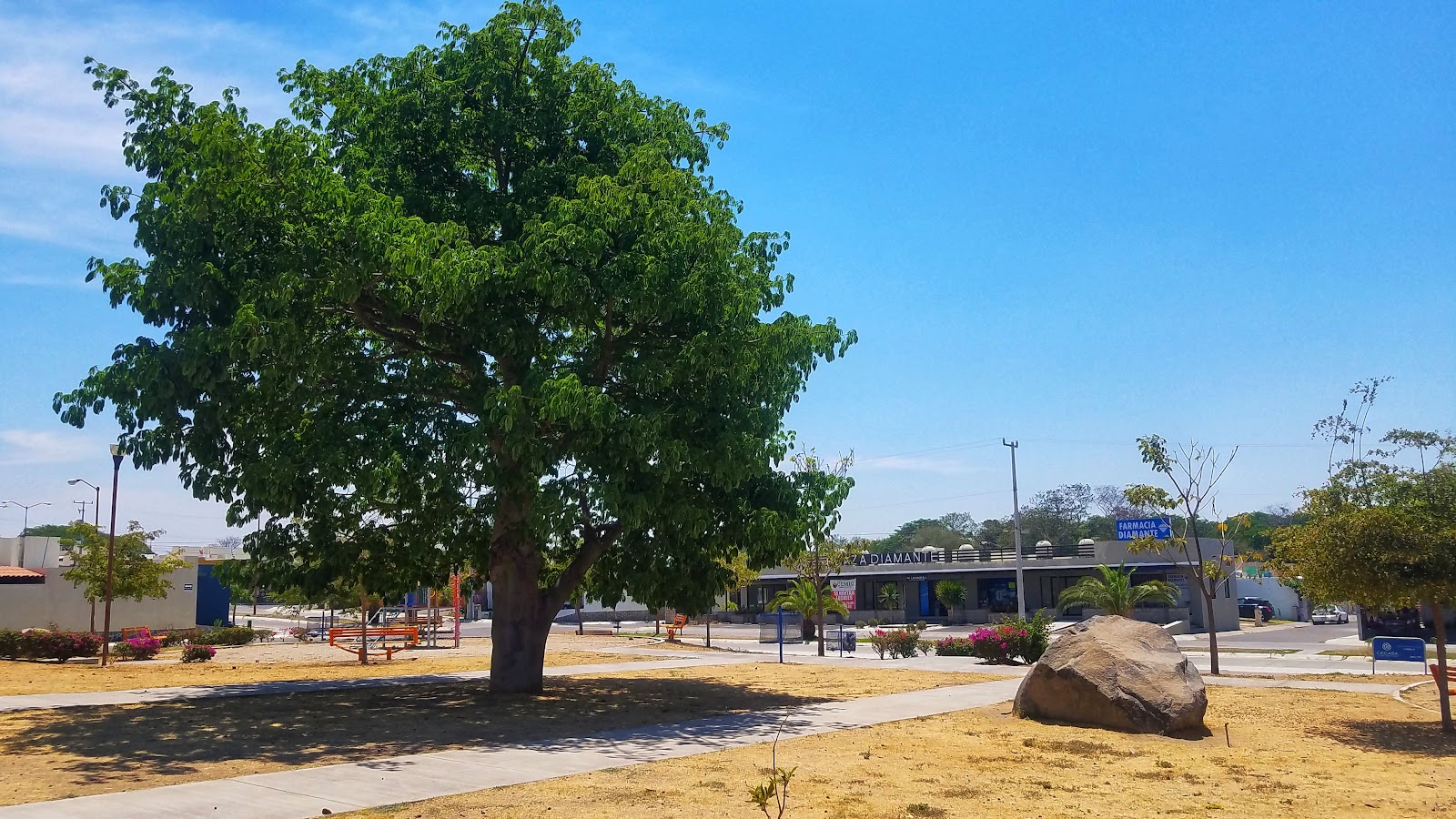 leetx-google-photo-60244-5 leetx-google-photo-60244-5