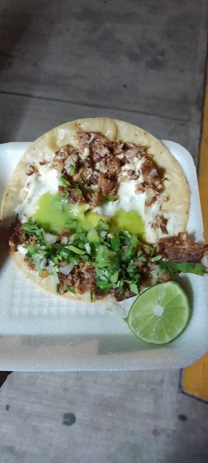 leetx-google-photo-60672-2 leetx-google-photo-60672-2