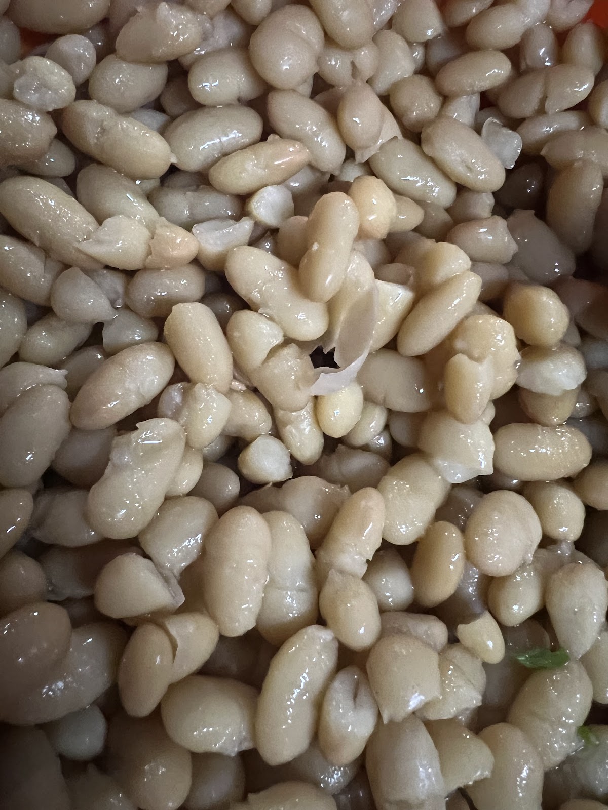 leetx-google-photo-60700-8 leetx-google-photo-60700-8