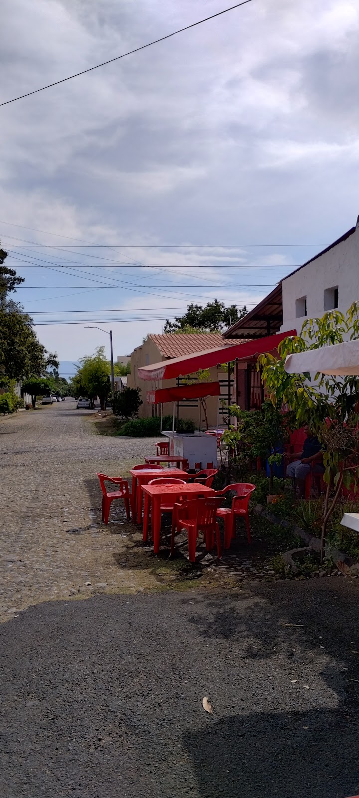 leetx-google-photo-60722-2 leetx-google-photo-60722-2