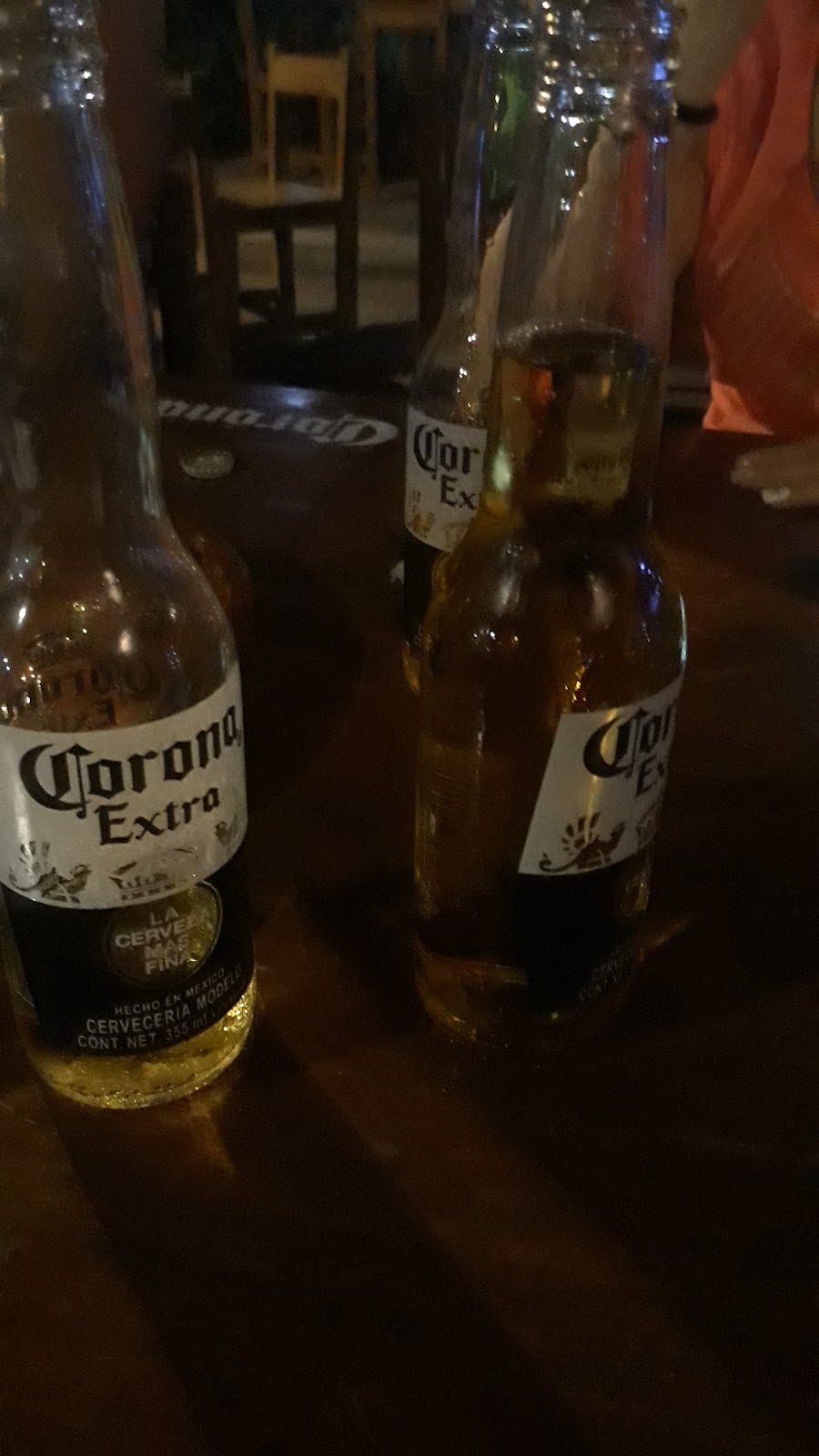 leetx-google-photo-61554-3 leetx-google-photo-61554-3