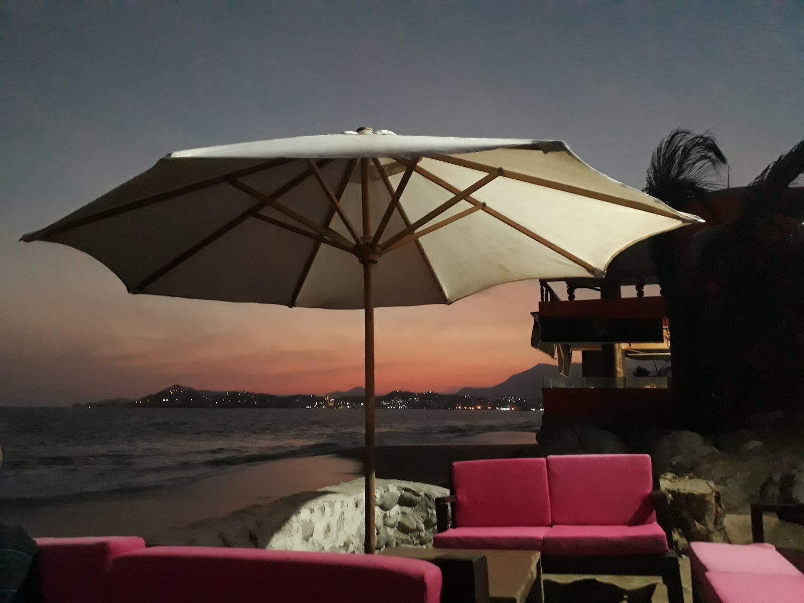 leetx-google-photo-61634-3 leetx-google-photo-61634-3