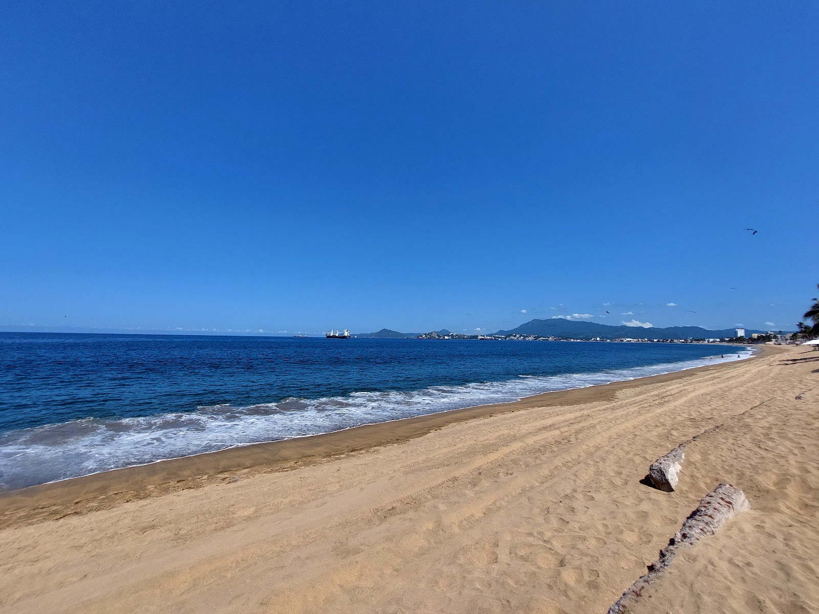 leetx-google-photo-61963-3 leetx-google-photo-61963-3