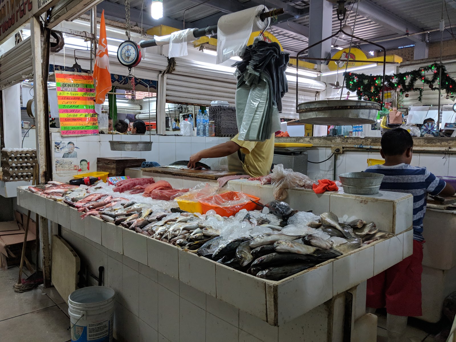 leetx-google-photo-63159-4 leetx-google-photo-63159-4