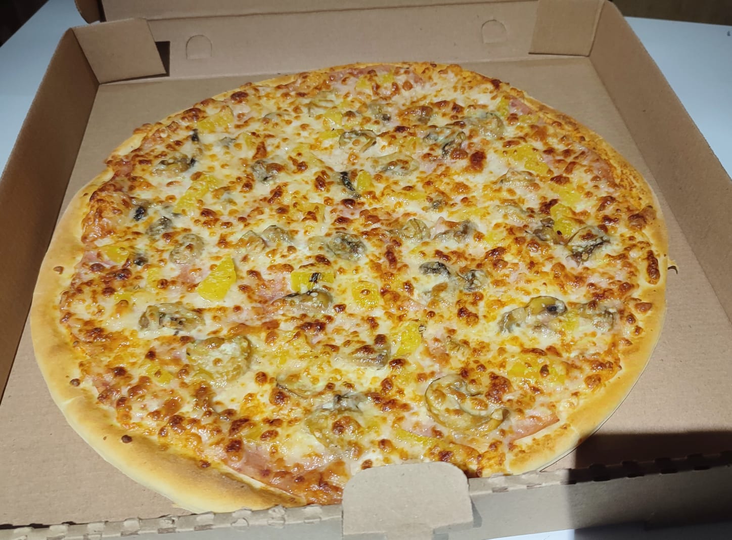 leetx-google-photo-63904-8 leetx-google-photo-63904-8