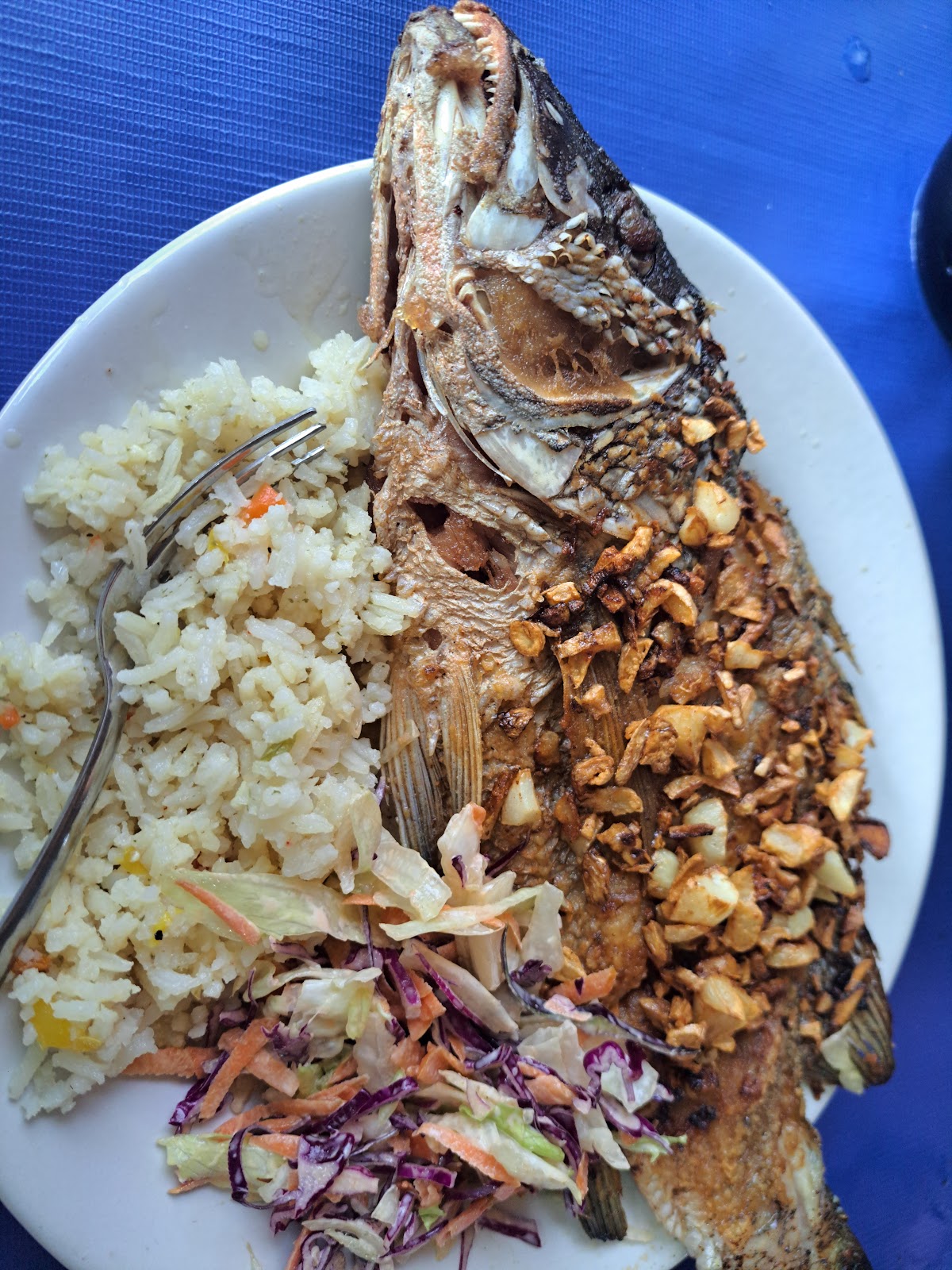 leetx-google-photo-64384-8 leetx-google-photo-64384-8