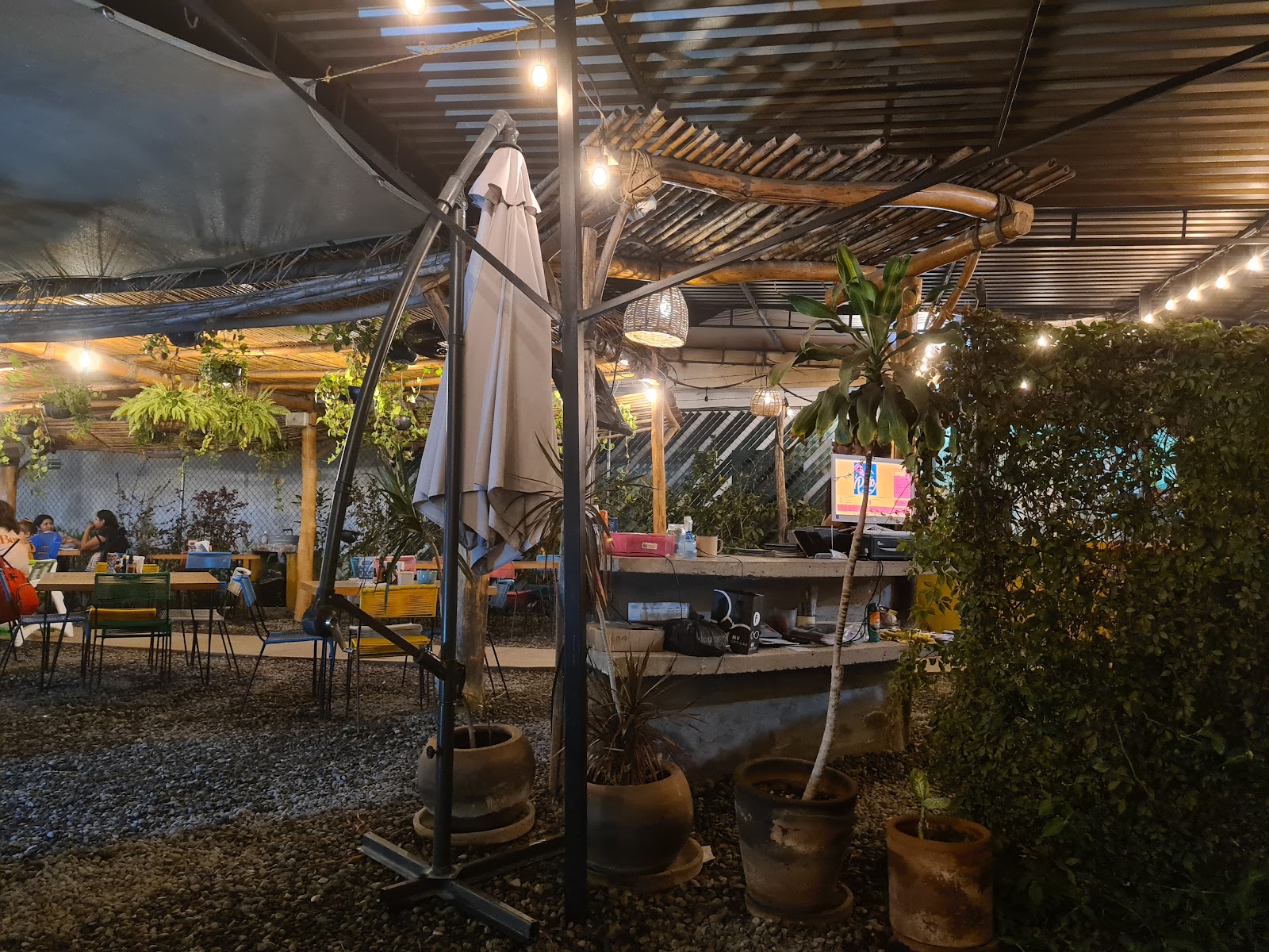 leetx-google-photo-65771-4 leetx-google-photo-65771-4