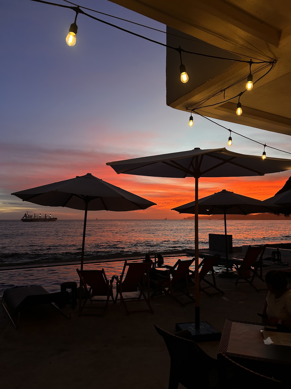 leetx-google-photo-66177-7 leetx-google-photo-66177-7