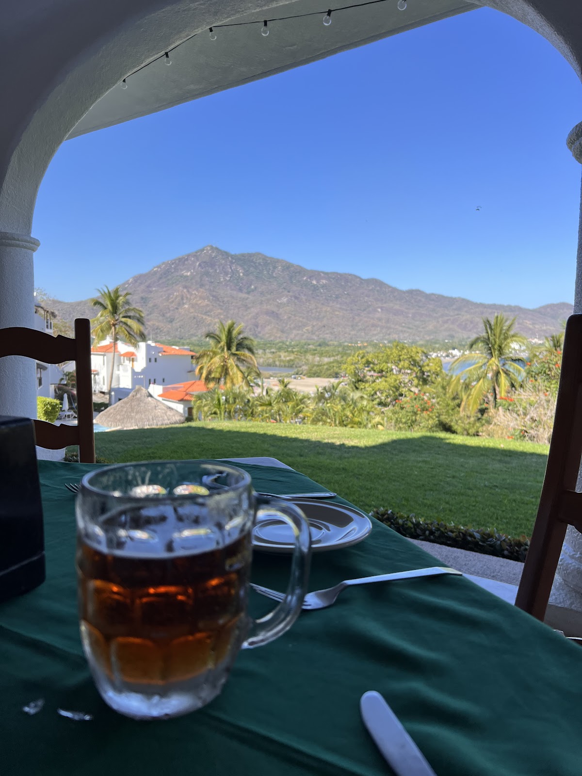 leetx-google-photo-66217-4 leetx-google-photo-66217-4