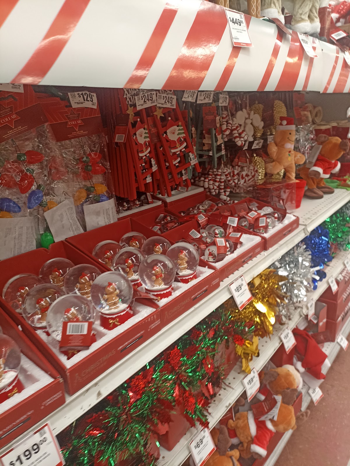 leetx-google-photo-66841-4 leetx-google-photo-66841-4