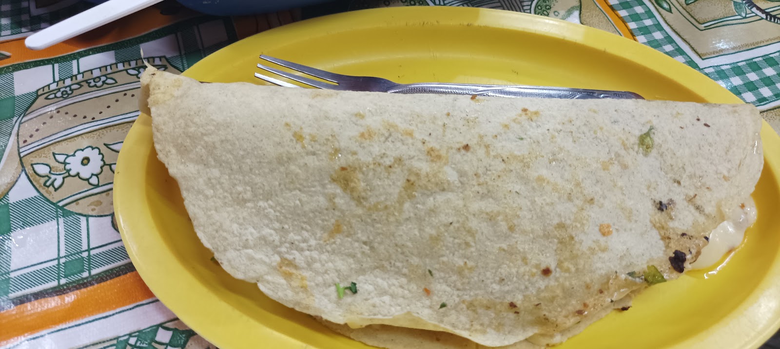 leetx-google-photo-66969-7 leetx-google-photo-66969-7