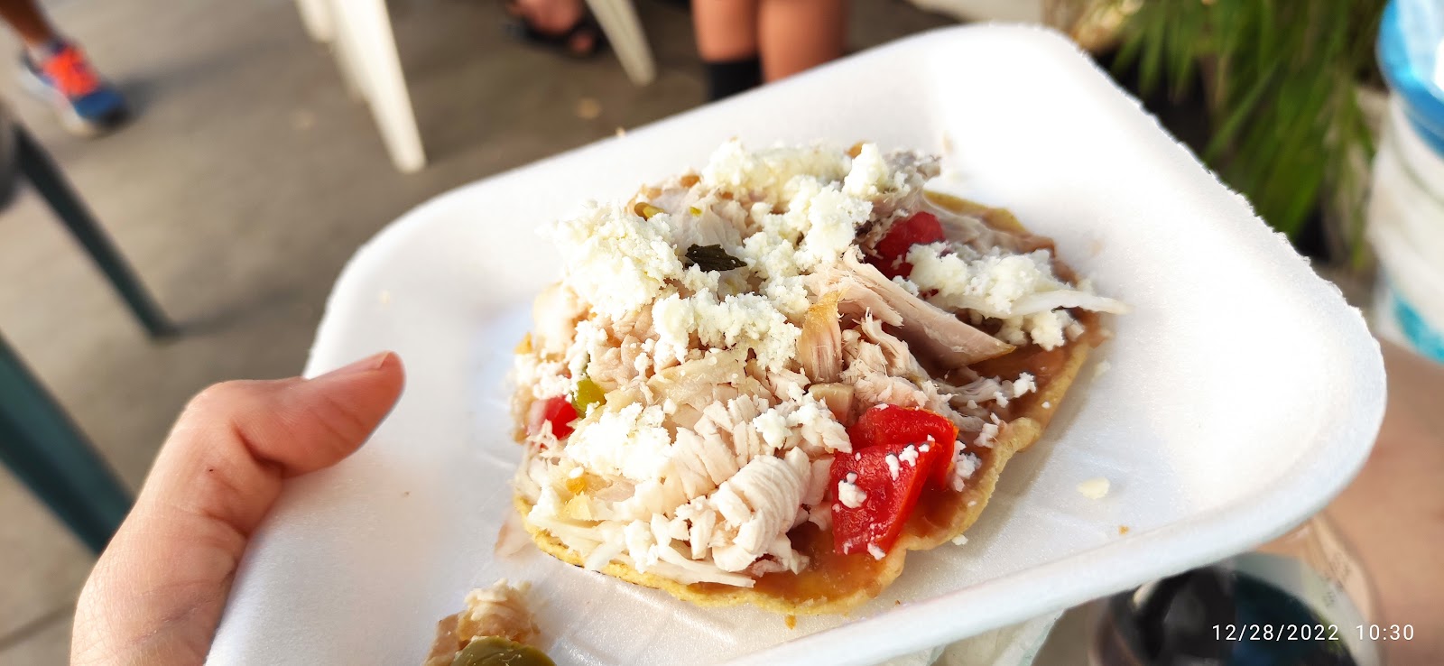 leetx-google-photo-67329-3 leetx-google-photo-67329-3