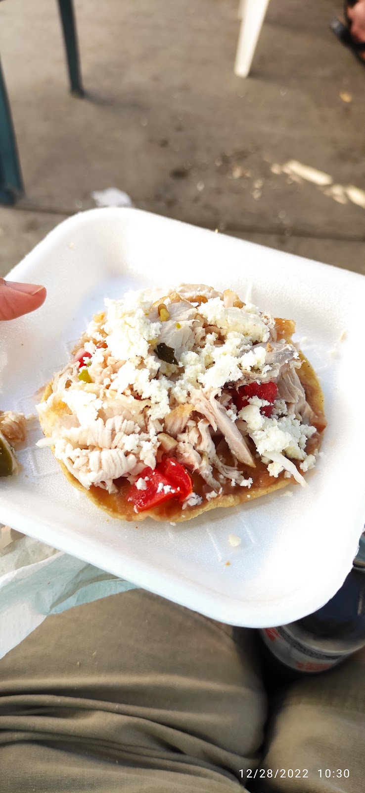 leetx-google-photo-67329-4 leetx-google-photo-67329-4