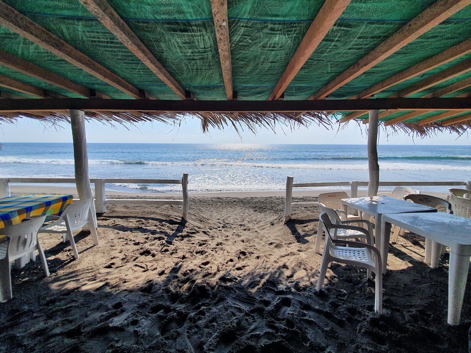 leetx-google-photo-68195-5 leetx-google-photo-68195-5